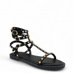 Flat Studded Gladiator sandals in Black