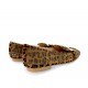 Moccasins with crystals in Leopard